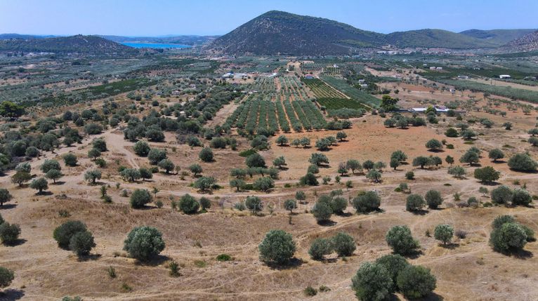Αγροτεμάχια 18.323 τ.μ. για πώληση, Αργολίδα, Ερμιόνη