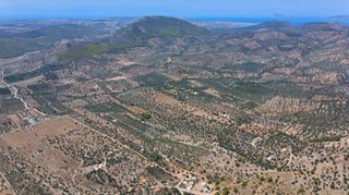 Αγροτεμάχια 18.323 τ.μ. για πώληση, Αργολίδα, Ερμιόνη-thumb-13