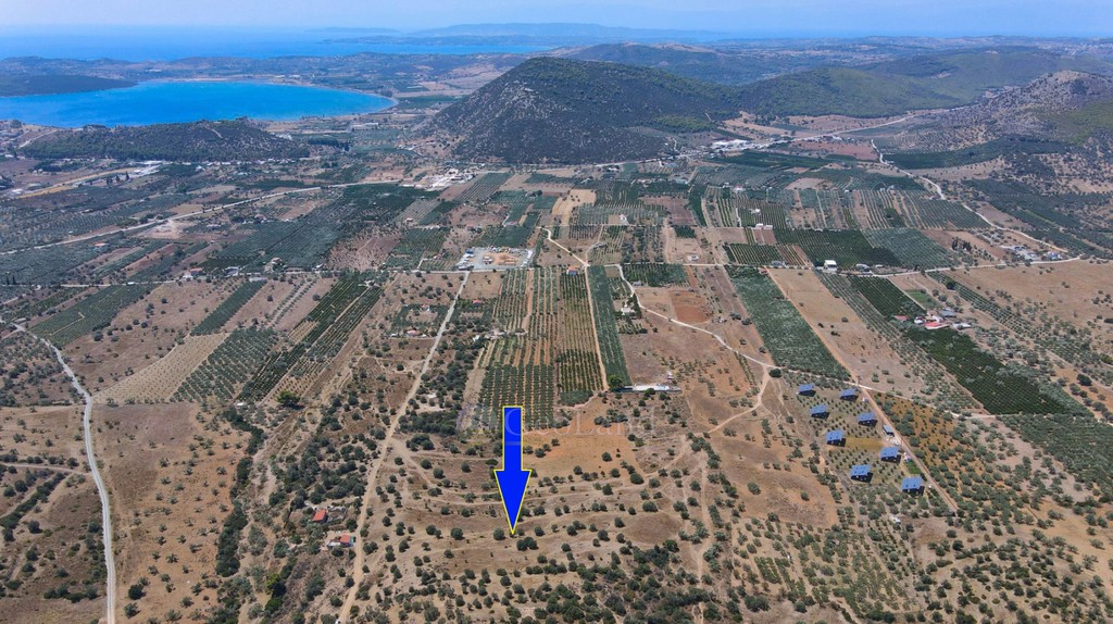 Αγροτεμάχια 18.323 τ.μ. πρός πώληση, Αργολίδα, Ερμιόνη