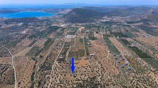 Αγροτεμάχια 18.323 τ.μ. για πώληση, Αργολίδα, Ερμιόνη-thumb-3