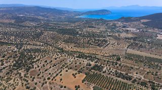 Αγροτεμάχια 18.323 τ.μ. για πώληση, Αργολίδα, Ερμιόνη-thumb-23