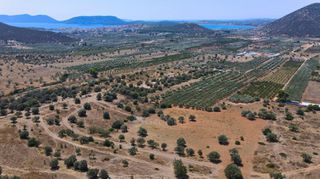 Αγροτεμάχια 18.323 τ.μ. για πώληση, Αργολίδα, Ερμιόνη-thumb-7