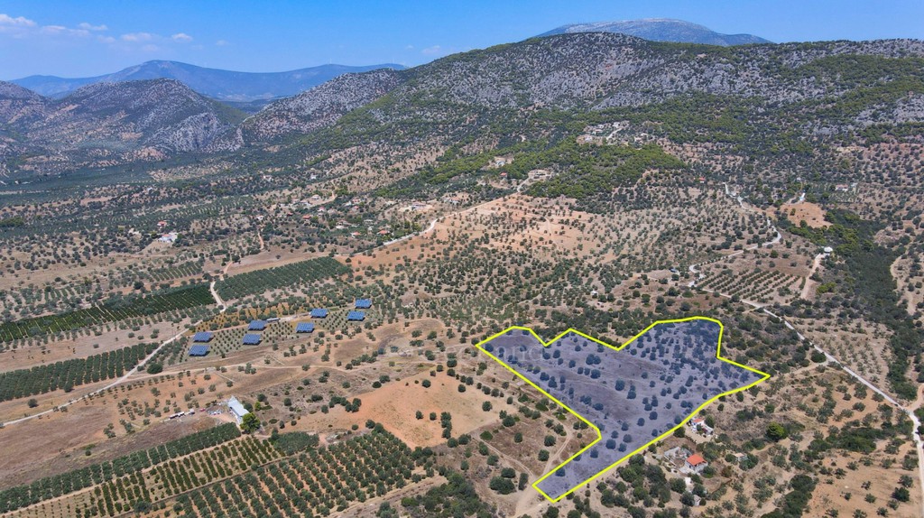 Αγροτεμάχια 18.323 τ.μ. πρός πώληση, Αργολίδα, Ερμιόνη
