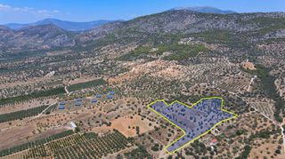 Αγροτεμάχια 18.323 τ.μ. για πώληση, Αργολίδα, Ερμιόνη-thumb-1