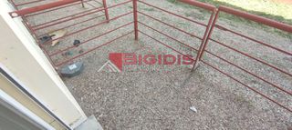 Studio / γκαρσονιέρα 35 τ.μ. για ενοικίαση, Ν. Σερρών, Σέρρες-thumb-9