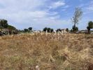 Parcel 4.020sqm for sale-Toroni » Sarti