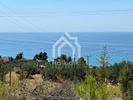Αγροτεμάχια 4.735τ.μ. για πώληση-Κασσάνδρα » Κασσανδρηνό