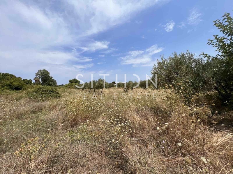 Αγροτεμάχια 5.166 τ.μ. προς πώληση, Σάρτη