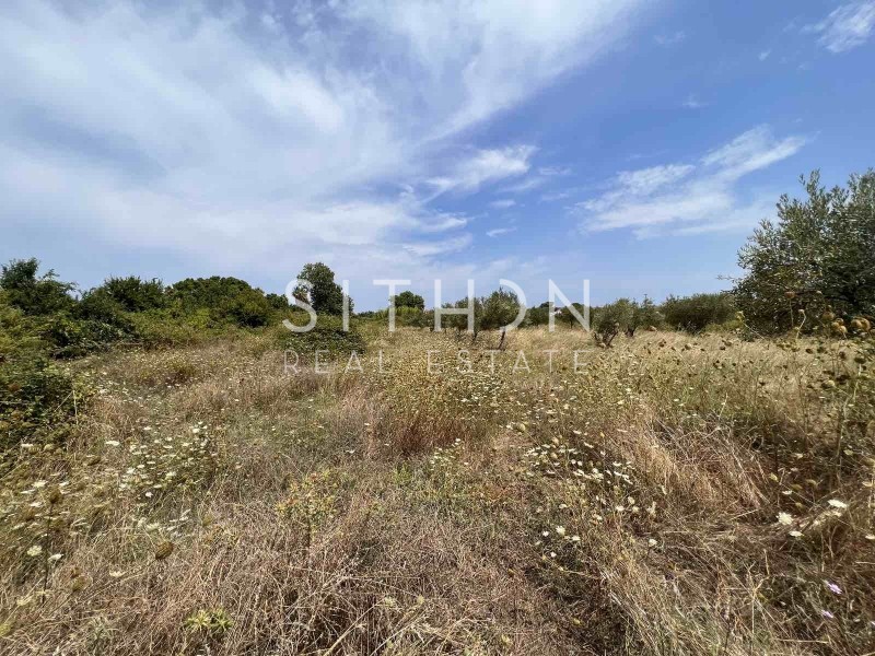 Αγροτεμάχια 5.166 τ.μ. προς πώληση, Σάρτη