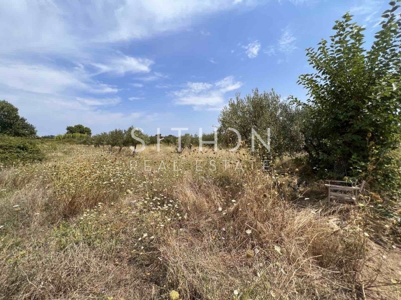 Αγροτεμάχια 5.166 τ.μ. προς πώληση, Σάρτη