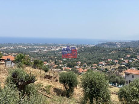 Οικόπεδο 2.275 τ.μ. για πώληση