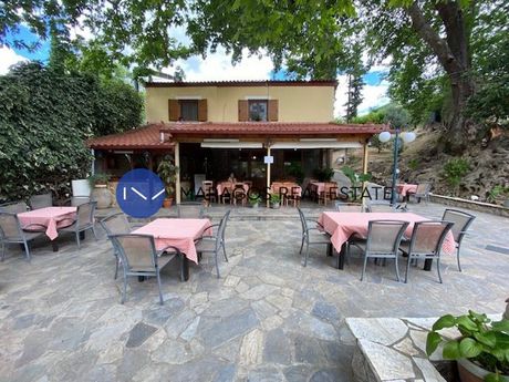 Κατάστημα 170τ.μ. για πώληση-Νεμέα » Δερβενάκια