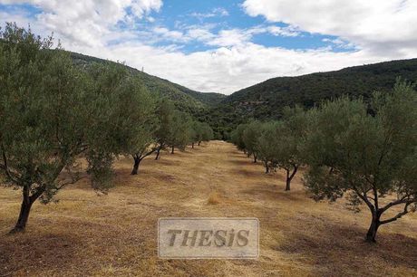 Αγροτεμάχια 3.000τ.μ. για πώληση-Άνω λιόσια » Άγιος ιωάννης θεολόγος