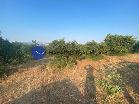 Αγροτεμάχια 6.000τ.μ. για πώληση-Κουτσοπόδι » Σταθαίικα