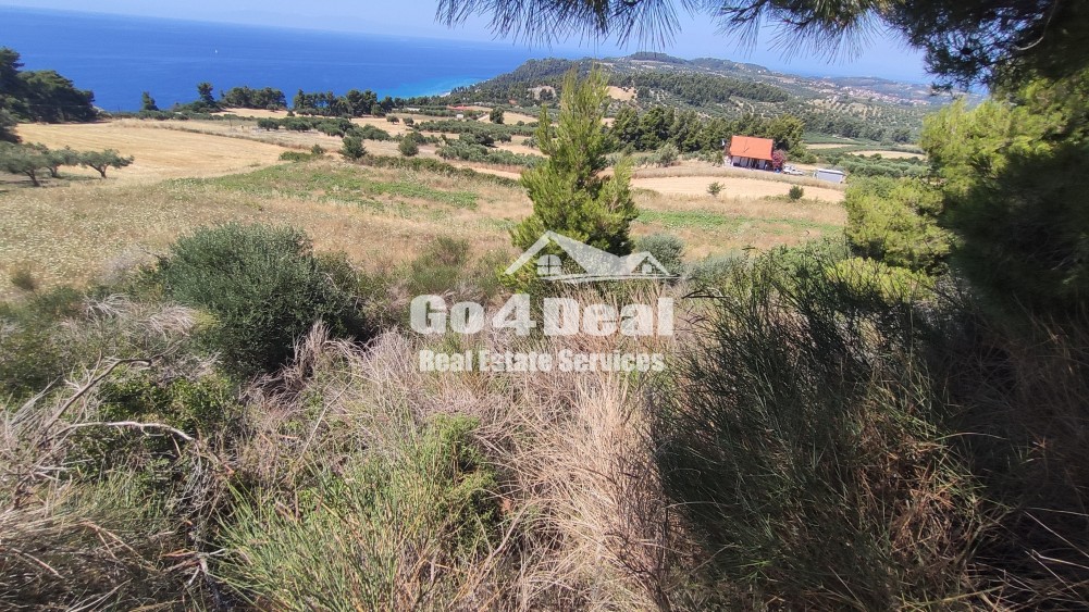 Αγροτεμάχια 4.572 τ.μ. πρός πώληση, Χαλκιδική, Κασσάνδρα