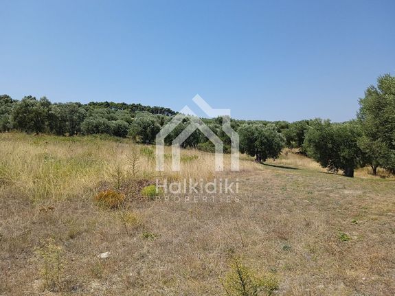 Land plot 6.250 sqm for sale, Chalkidiki, Kassandra