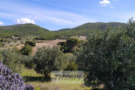 Αγροτεμάχια 4.100 τ.μ. για πώληση