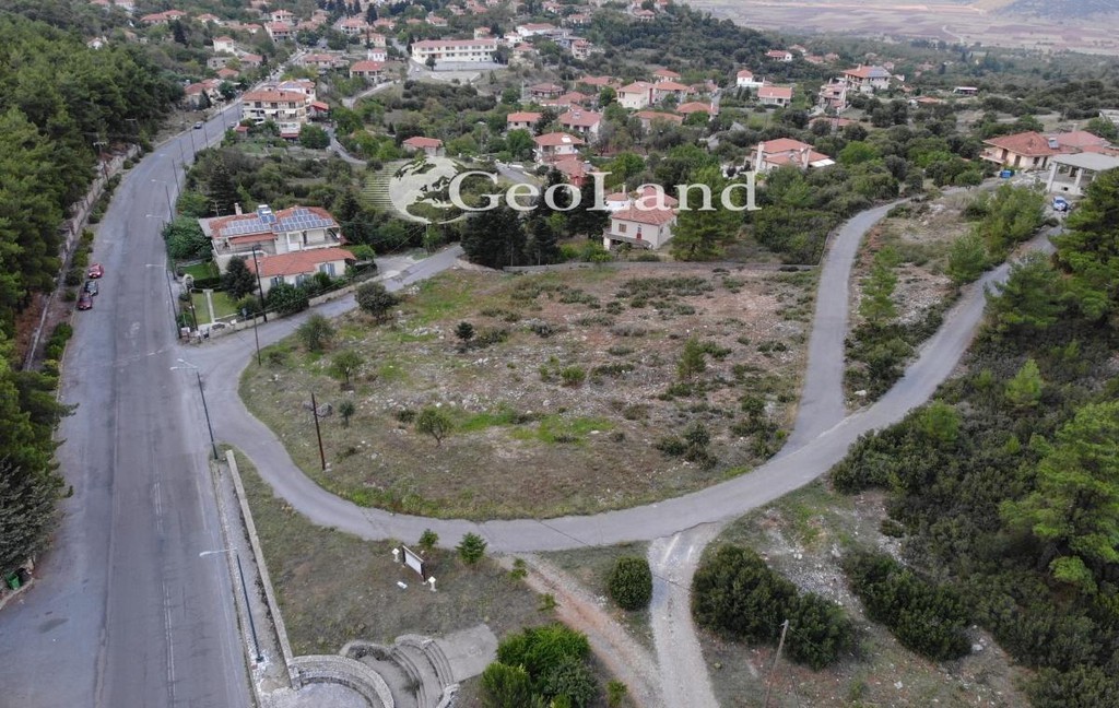 Οικόπεδο 2.226 τ.μ. για πώληση, Αρκαδία, Λεβίδι