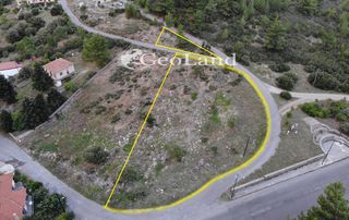 Οικόπεδο 2.226 τ.μ. για πώληση, Αρκαδία, Λεβίδι-thumb-1