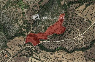 Αγροτεμάχια 11.000 τ.μ. για πώληση, Αργολίδα, Κρανίδι-thumb-7
