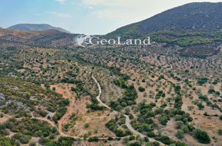 Αγροτεμάχια 11.000 τ.μ. για πώληση, Αργολίδα, Κρανίδι-thumb-10