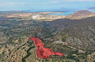 Αγροτεμάχια 11.000 τ.μ. για πώληση, Αργολίδα, Κρανίδι-thumb-1