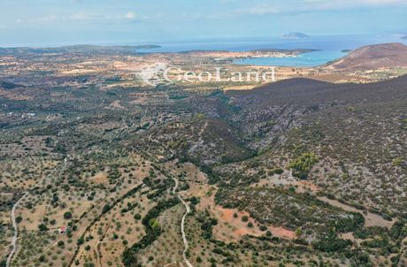 Αγροτεμάχια 11.000τ.μ. για πώληση-Κρανίδι » Κοιλάδα