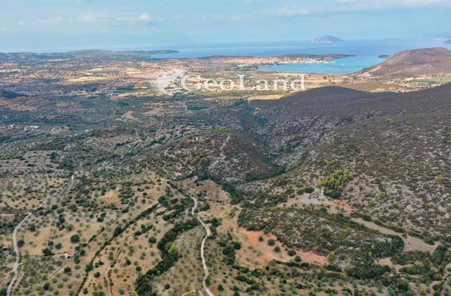 Αγροτεμάχια 11.000 τ.μ. για πώληση, Αργολίδα, Κρανίδι
