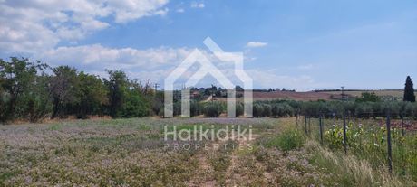 Land plot 5.200sqm for sale-Triglia » Nea Triglia
