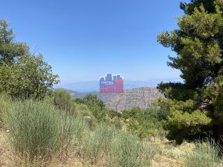 Οικόπεδο 2.000 τ.μ. για πώληση