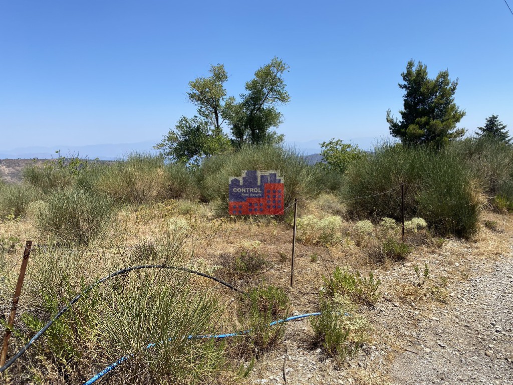 Οικόπεδο 2.000 τ.μ. πρός πώληση, Αχαΐα, Διακοπτό