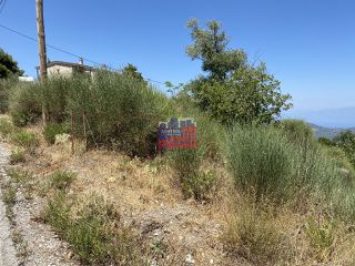 Οικόπεδο 2.000 τ.μ. για πώληση, Αχαΐα, Διακοπτό-thumb-5