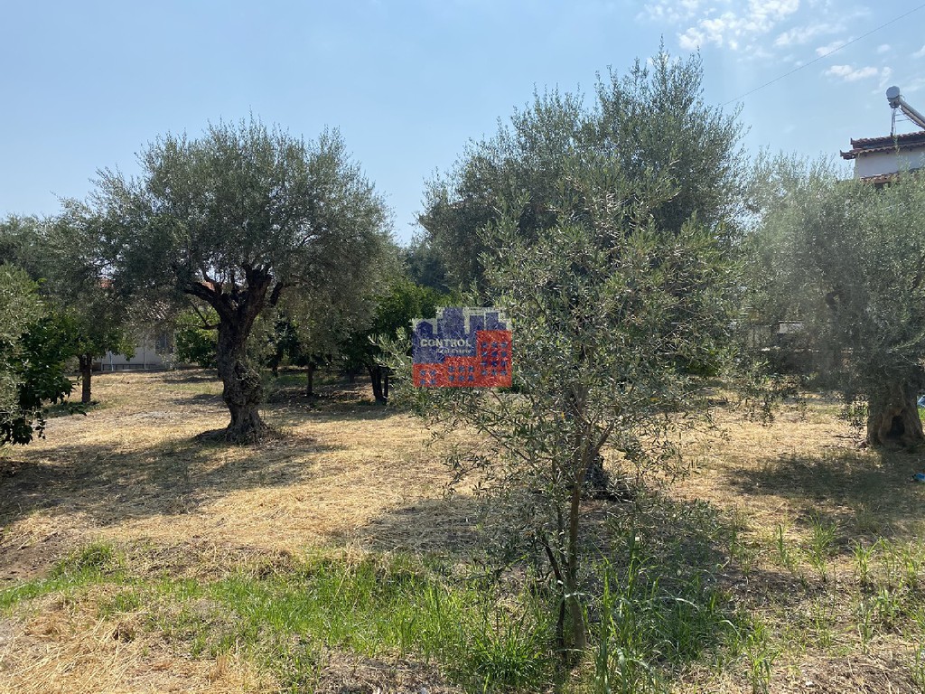 Οικόπεδο 1.200 τ.μ. προς πώληση, Διακοφτό