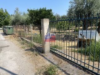 Οικόπεδο 1.200 τ.μ. προς πώληση, Διακοφτό-thumb-2