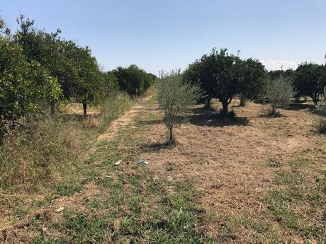 Οικόπεδο 1.235 τ.μ. για πώληση