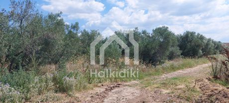 Οικόπεδο 293τ.μ. για πώληση-Τριγλία » Νέα τρίγλια
