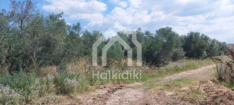 Land plot 293 sqm for sale, Chalkidiki, Triglia