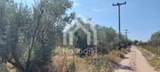 Οικόπεδο 302τ.μ. για πώληση-Τριγλία » Νέα τρίγλια