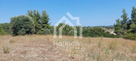 Αγροτεμάχια 5.233τ.μ. για πώληση-Κασσάνδρα » Κασσανδρηνό