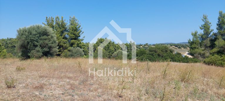 Αγροτεμάχια 5.233 τ.μ. για πώληση, Χαλκιδική, Κασσάνδρα