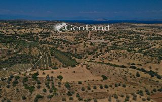 Αγροτεμάχια 4.521 τ.μ. προς πώληση, Άγιος Νικόλαος Κρανιδίου-thumb-11