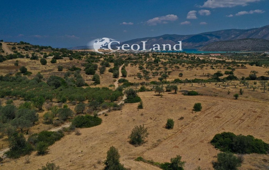 Αγροτεμάχια 4.521 τ.μ. προς πώληση, Άγιος Νικόλαος Κρανιδίου