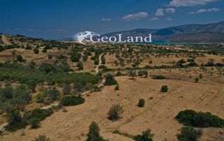 Αγροτεμάχια 4.521 τ.μ. για πώληση