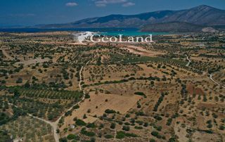 Αγροτεμάχια 4.521 τ.μ. προς πώληση, Άγιος Νικόλαος Κρανιδίου-thumb-5