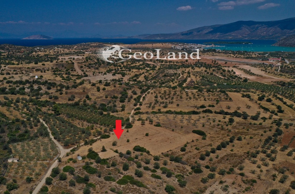 Αγροτεμάχια 4.521 τ.μ. προς πώληση, Άγιος Νικόλαος Κρανιδίου