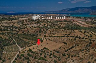 Αγροτεμάχια 4.521 τ.μ. προς πώληση, Άγιος Νικόλαος Κρανιδίου-thumb-3