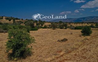 Αγροτεμάχια 4.521 τ.μ. προς πώληση, Άγιος Νικόλαος Κρανιδίου-thumb-15