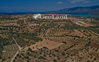 Αγροτεμάχια 4.521 τ.μ. προς πώληση, Άγιος Νικόλαος Κρανιδίου-thumb-9