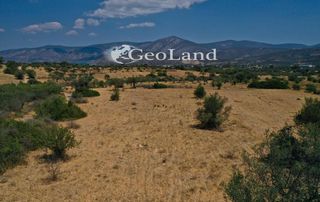 Αγροτεμάχια 4.521 τ.μ. προς πώληση, Άγιος Νικόλαος Κρανιδίου-thumb-6