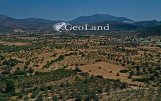 Αγροτεμάχια 4.521 τ.μ. προς πώληση, Άγιος Νικόλαος Κρανιδίου-thumb-14